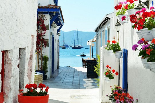 Tour image 5