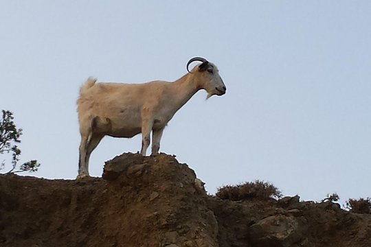 Tour image 8