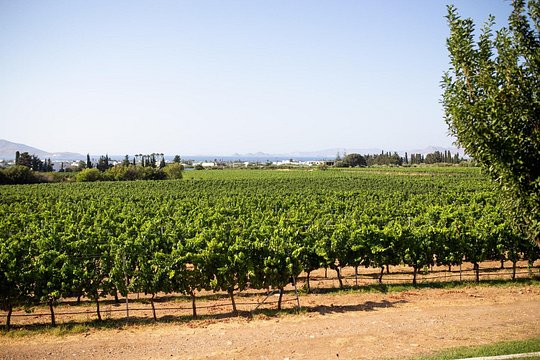 Tour image 11