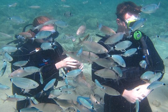 Tour image 10