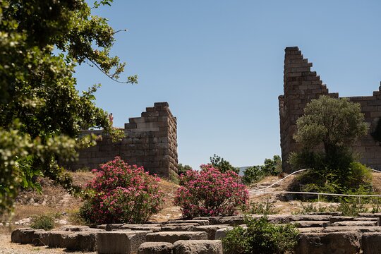 Tour image 5