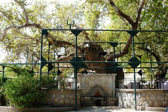 Tour image 7